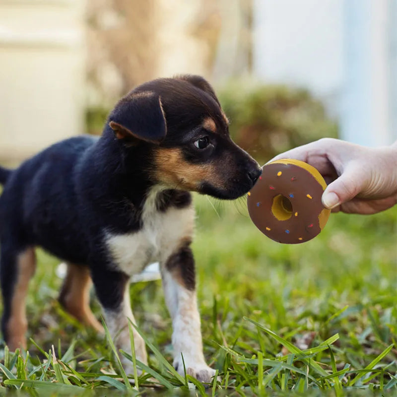 DIY Donut Dog Chew Toy Simulation Donuts Grinding Cleaning Tooth Funny Sound Interactive Toys for Small Medium Dogs Accessories Oasis Select