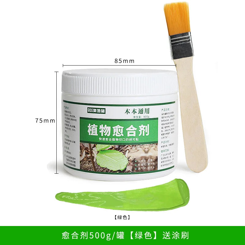 Plant wound healing agent, potted incision smear fruit tree grafting tree smear Oasis Select 500g