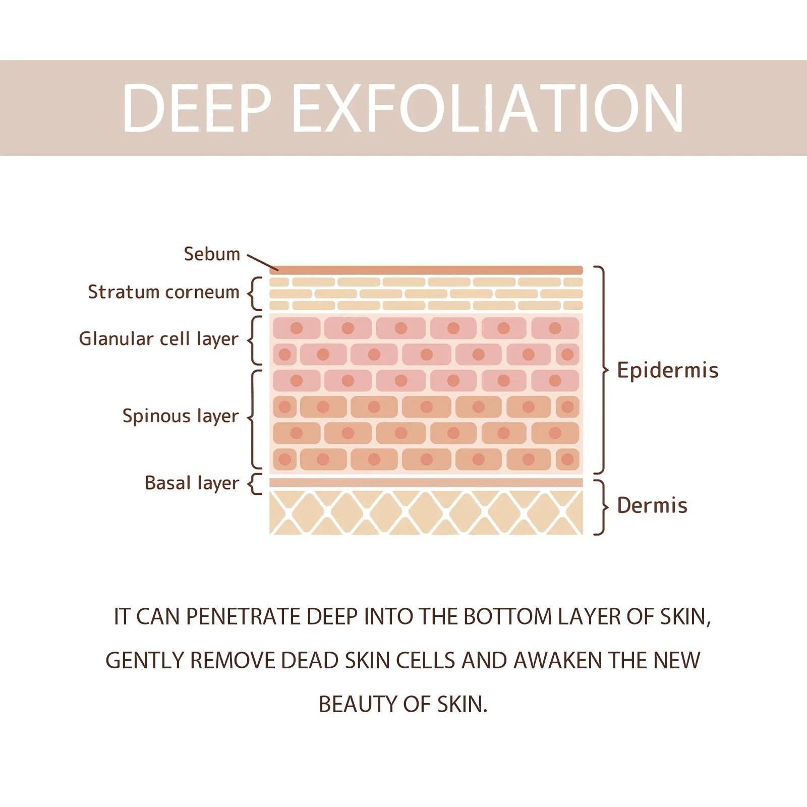OUHOE Exfoliating Peeling Gel – Pore Cleanse & Blackhead Removal Facial Exfoliating Gel Oasis Select