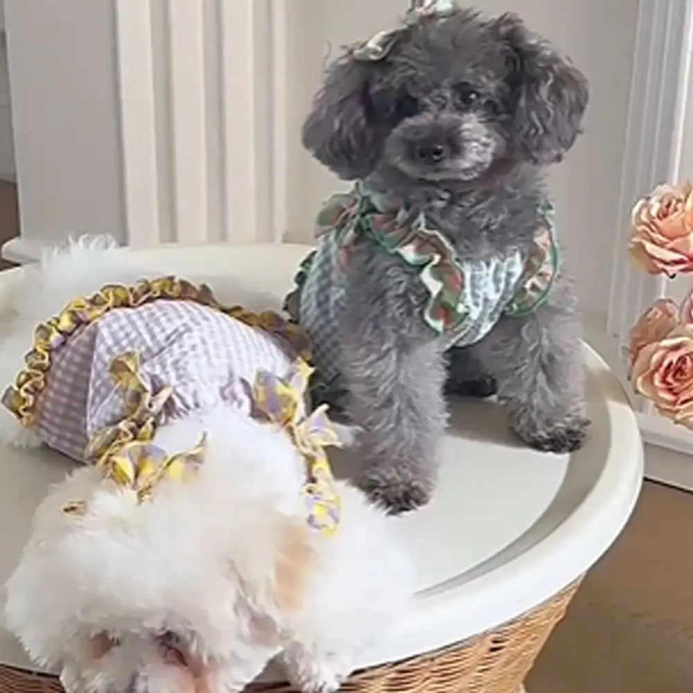 Comfortable Cute Pet Plaid Lace Vest Fashion Soft Pet Summer Princess Skirt Breathable Cat Dress for Puppy Kittens Oasis Select
