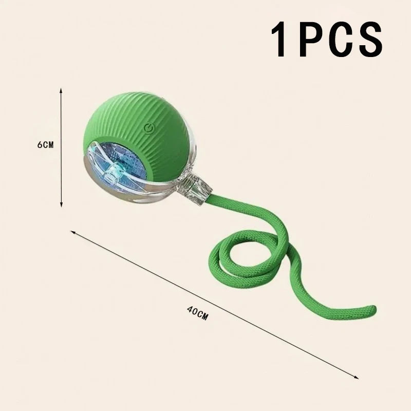 Pet Automatic Rolling Ball Interactive Ball Cat Toy Electric Cat Dog Training Imitation Mouse Rechargeable Product Oasis Select Green-1pcs CN