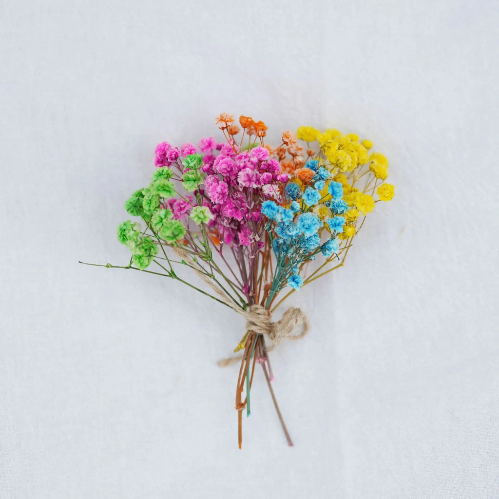 Dried Flower Bouquet High-Quality Fingertip Bouquet Greeting Card Decoration Versatile Diy Flower Kit For Diy Projects Event Oasis Select 11