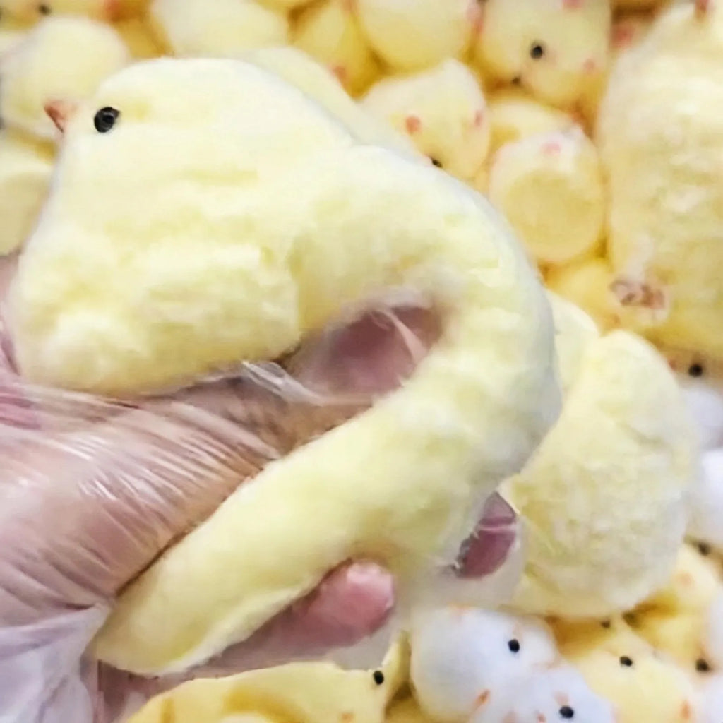 Squishy Chicken Stress Toy – Soft Taba Chick Fidget Squeeze Squishy Fidget Toy Oasis Select