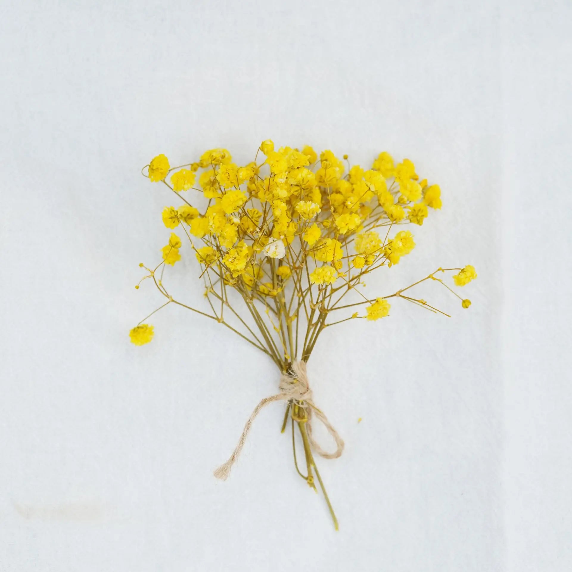Dried Flower Bouquet High-Quality Fingertip Bouquet Greeting Card Decoration Versatile Diy Flower Kit For Diy Projects Event Oasis Select 25