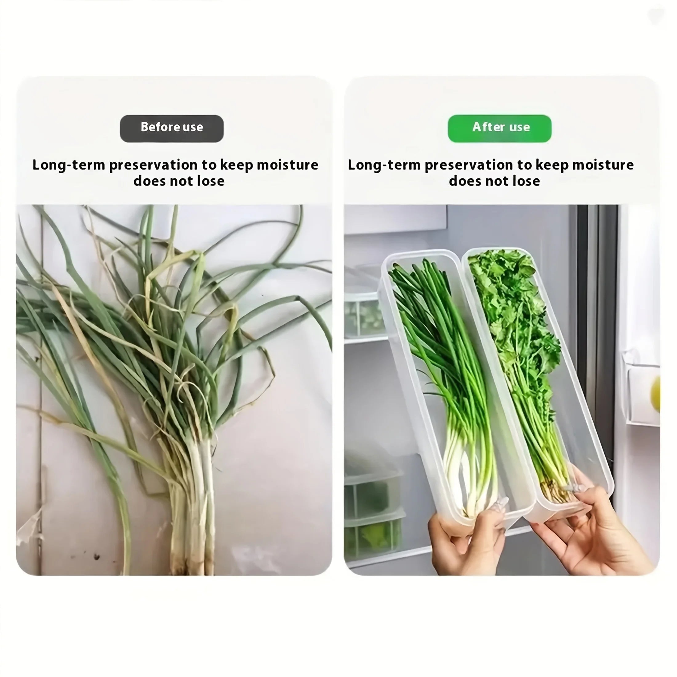 2/4pcs Long Rectangular Food Storage Containers, Plastic Reusable Refrigerator Organizer Boxes for Herbs, Vegetables Oasis Select