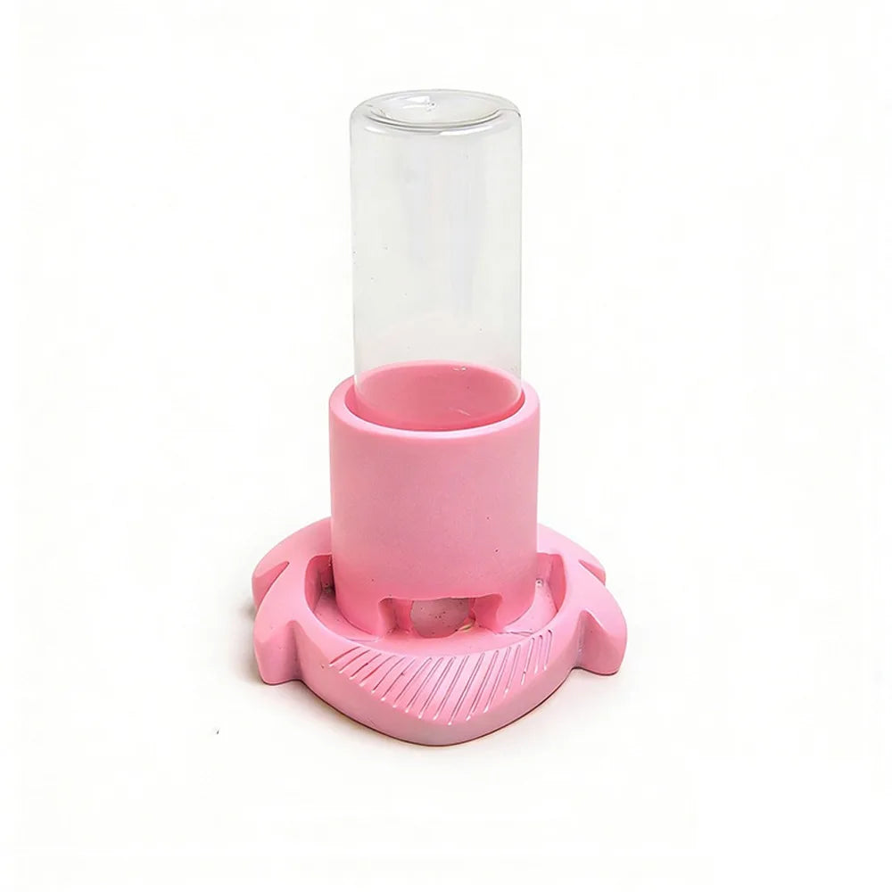Reptile & Amphibian Water Dish | Anti-Slip Removable Base Bowl
