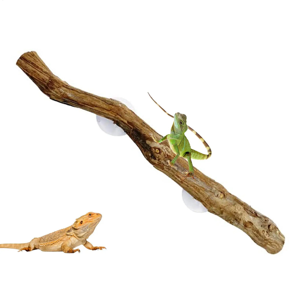 Snake Climbing Branch Unique Snake Climbing Decor Natural Non-slip Habitat Decorations Reptile Decor for Bearded Dragon Snake Oasis Select