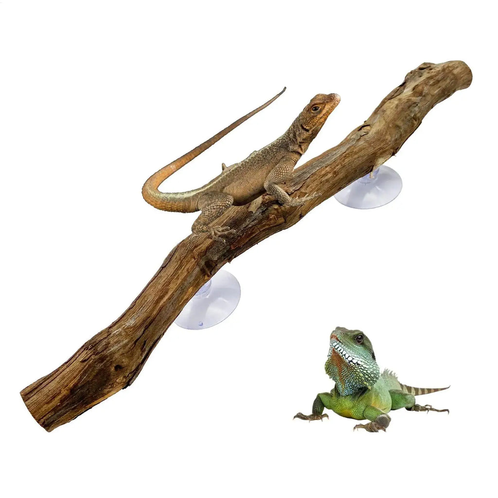 Snake Climbing Branch Unique Snake Climbing Decor Natural Non-slip Habitat Decorations Reptile Decor for Bearded Dragon Snake Oasis Select