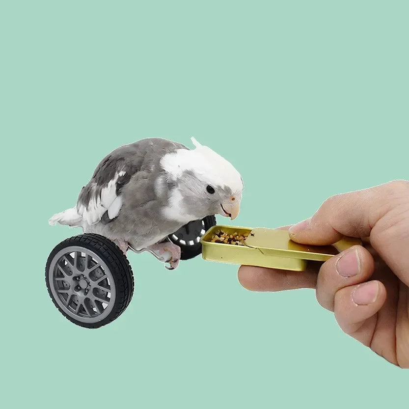 Parrot Balance Car Deboring Toys Small and Medium-Sized Bird Supplies Roller Skateboard Skill Training Props Phoenix Bird Toys Oasis Select