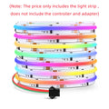 12V Tuya Smart Life App Control RGBIC COB LED Strip Light DIY Addressable WS2811 IC Flexible Tape Ambinet Light for Alexa Google Oasis Select Only Lamp No Plug DC 12V 1M Set