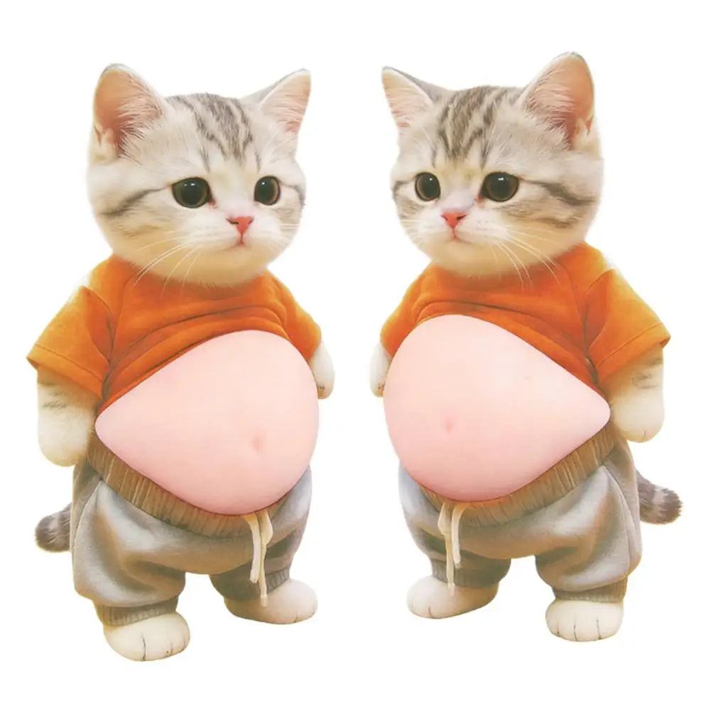 Shiba Inu 3D Silicone Belly Stickers – Stress Relief Dog Toy Novelty Stress Relief Toy Oasis Select F