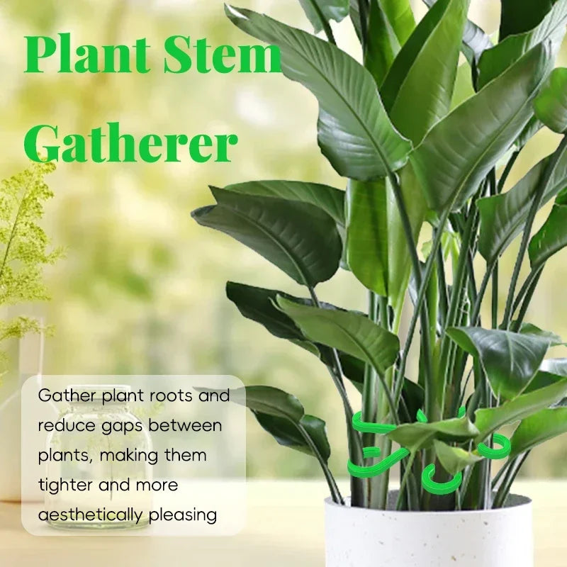 4pc Plant Fixing Clip Plant Climbing Support Frame Flower Stem Folding Frame Stem Finishing Period Gardening Tools and Equipment Oasis Select