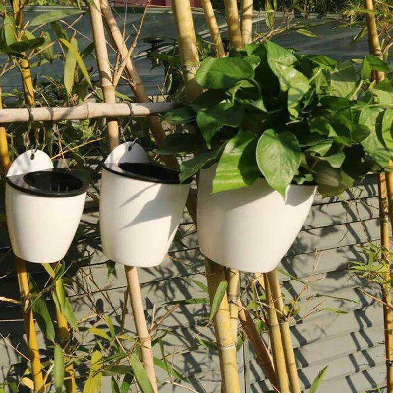 Wall-Mounted Indoor Automatic Water-absorbing Flowerpot Plastic Flowerpot Succulent Green Dill Green Plant Flower Pot Decor Oasis Select