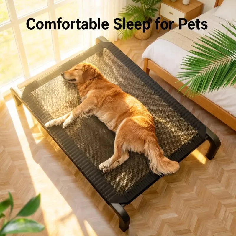 Pet Supplies Foldable Dog Bed All Season Large and Small Dogs Camp Bed Detachable Waable Military Sle Dog House for Summer Use Oasis Select