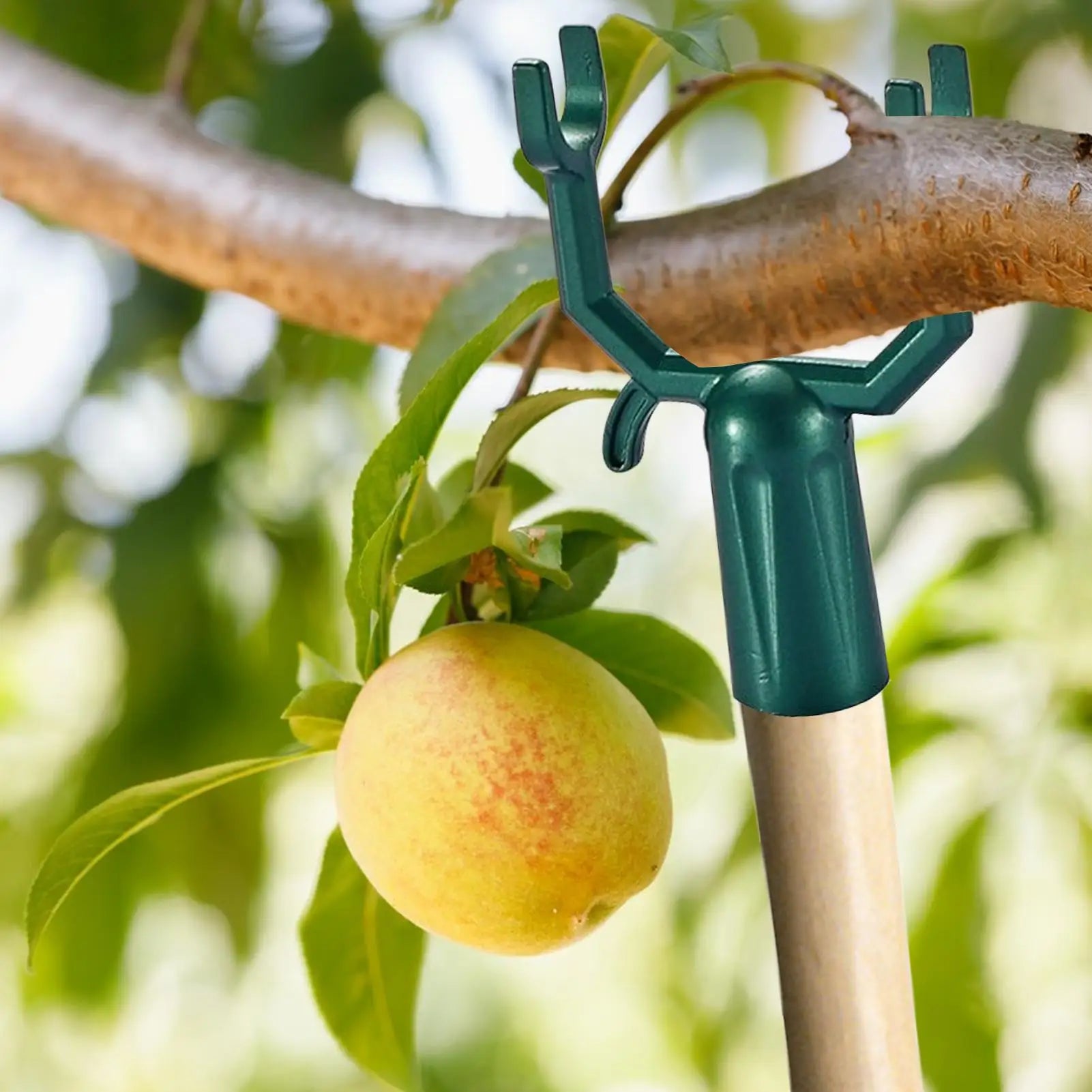 5Pcs Tree Branch Support Tree Limb Holder Fruit Tree Support Stand Black Green Tree Braces For Leaning Trees Plants Reusable Oasis Select