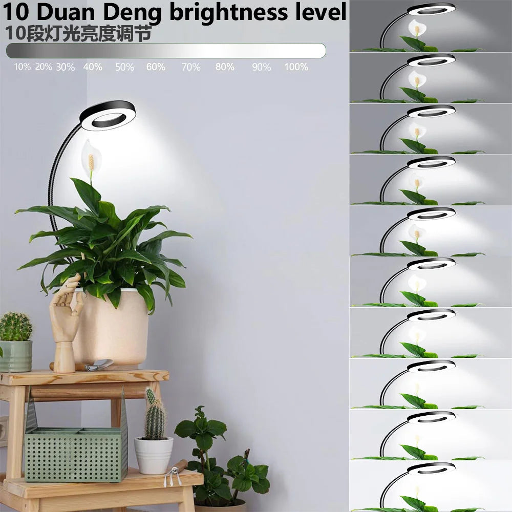 Full Spectrum LED Grow Light Clip-On Dimmable | SHINEKNOT