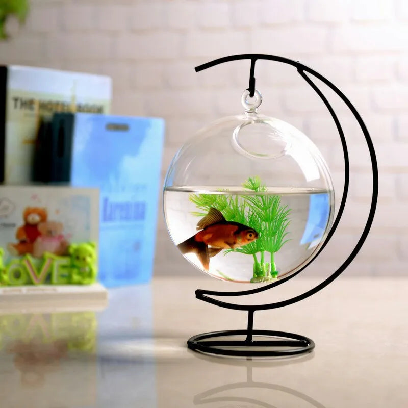 Hanging Glass Vase Creative Transparent Ornaments Hanging Bottle Hydroponic Plant Vase Indoor Home Decoration Bottle Fresh Oasis Select