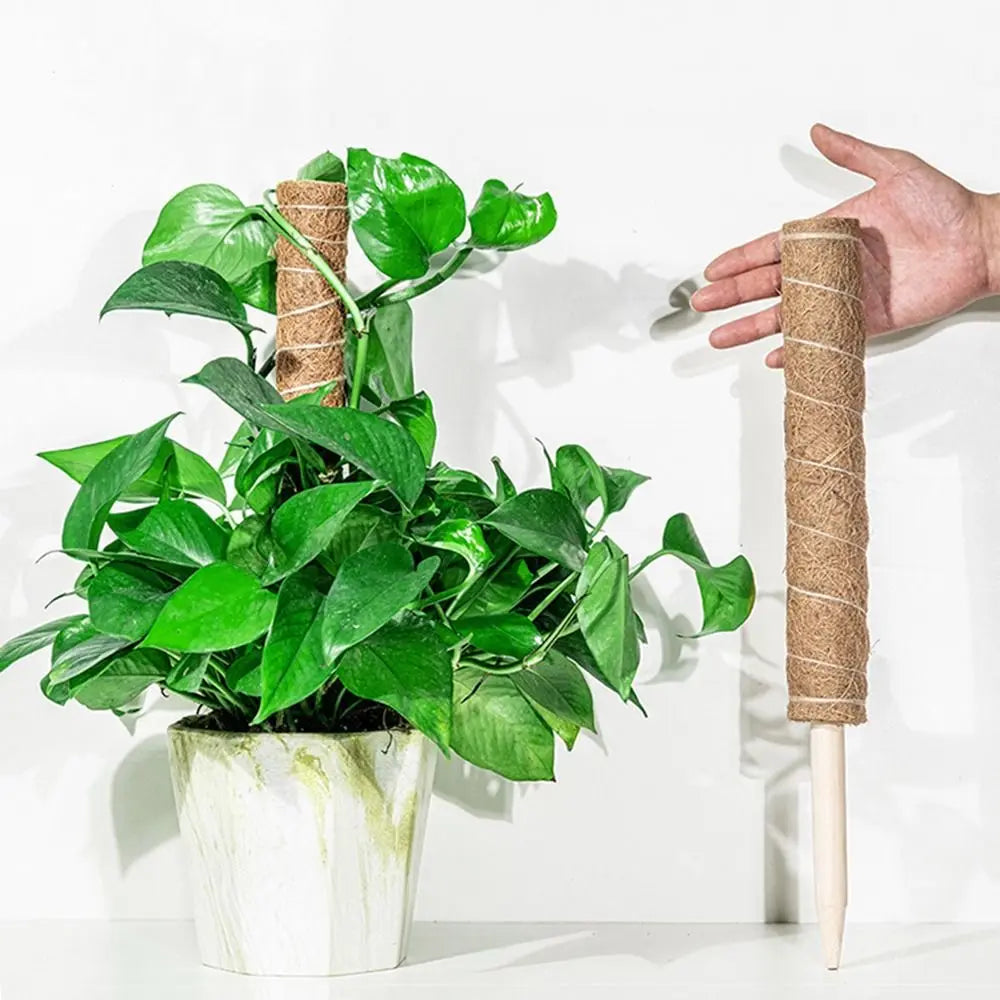 Durable 30/40/50cm Moss Pole Sturdy Stackable Coir Totem Poles Easy To Install Non-damaging Plant Climbing Column Cage Home Oasis Select
