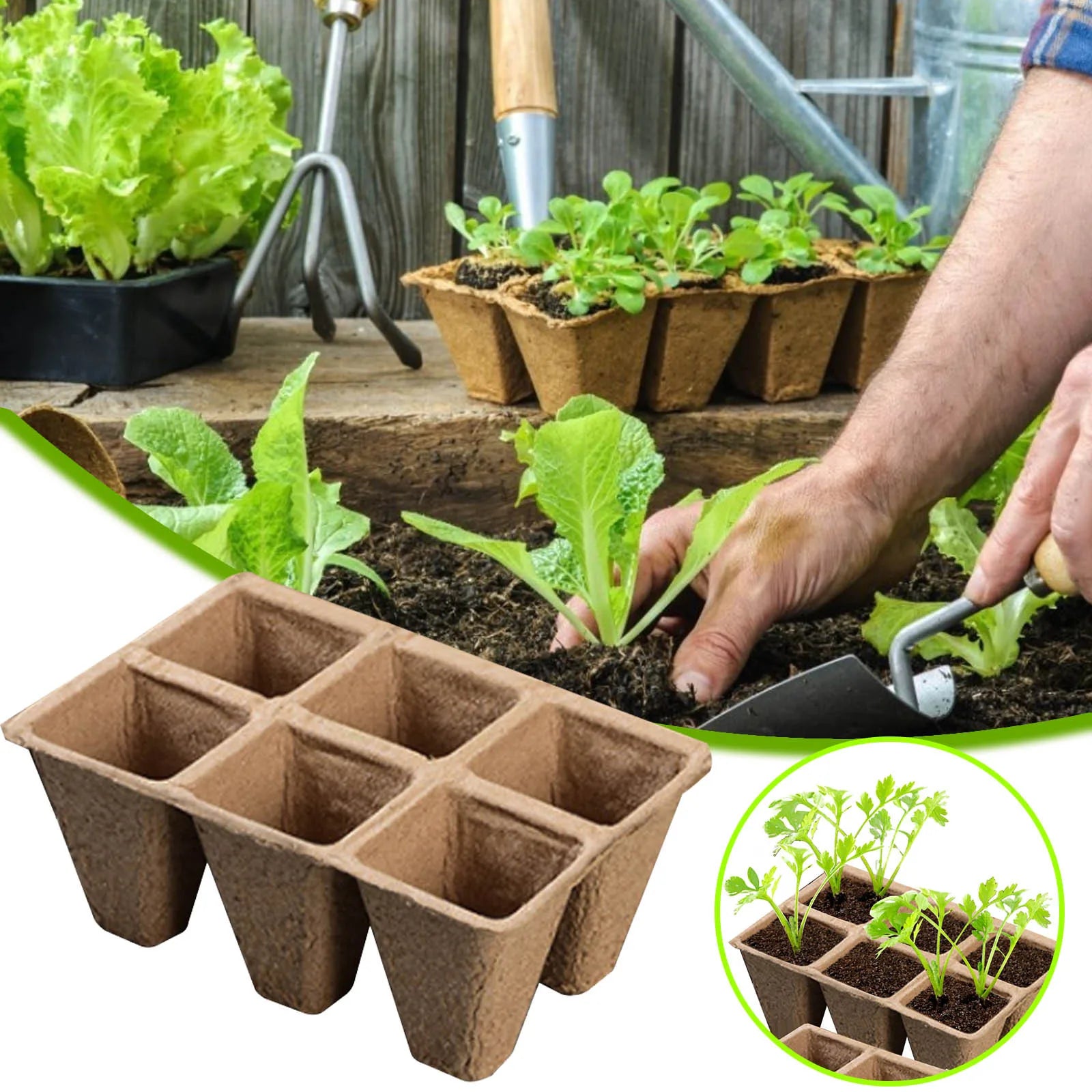 10/20Pcs Biodegradable Seed Starter Peat Pots Seed Growing Tray Planting Seed Tray Kit for Garden Grow Box Supplies Nursery Cup Oasis Select