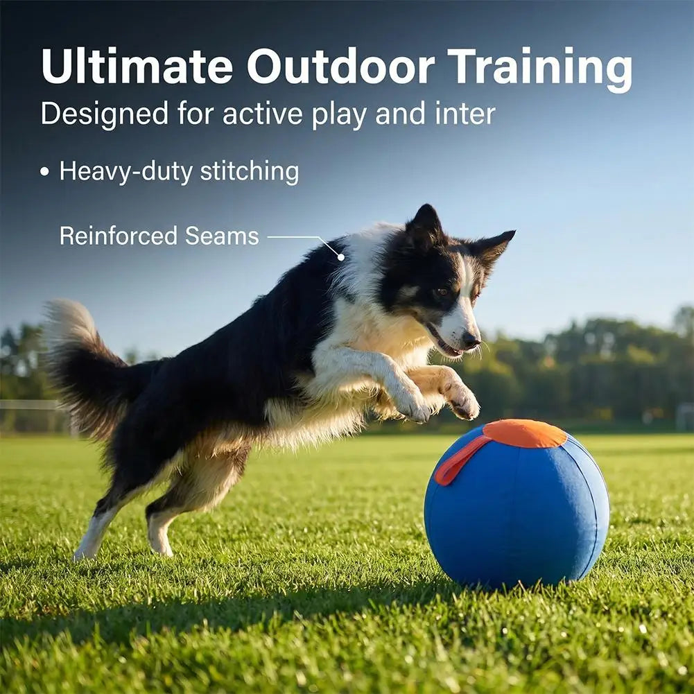 Dog Herding Ball Thickened Anti-Burst & Tear-Resistant Interactive Chew Toy Fun Training Exercise Ball for Pet Dog Outdoor Play Oasis Select
