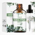 Hllozzi Pure Eucalyptus Essential Oil | Aromatherapy Diffuser