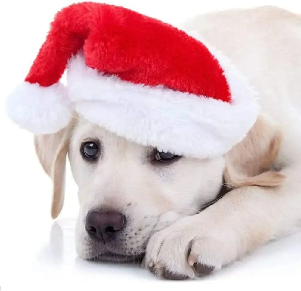 50PCS Christmas Pet Dog Cat Santa Hat Cosplay Hats Pet Costume Ornaments Christmas Party Pet Supplies Christmas Decorations Oasis Select