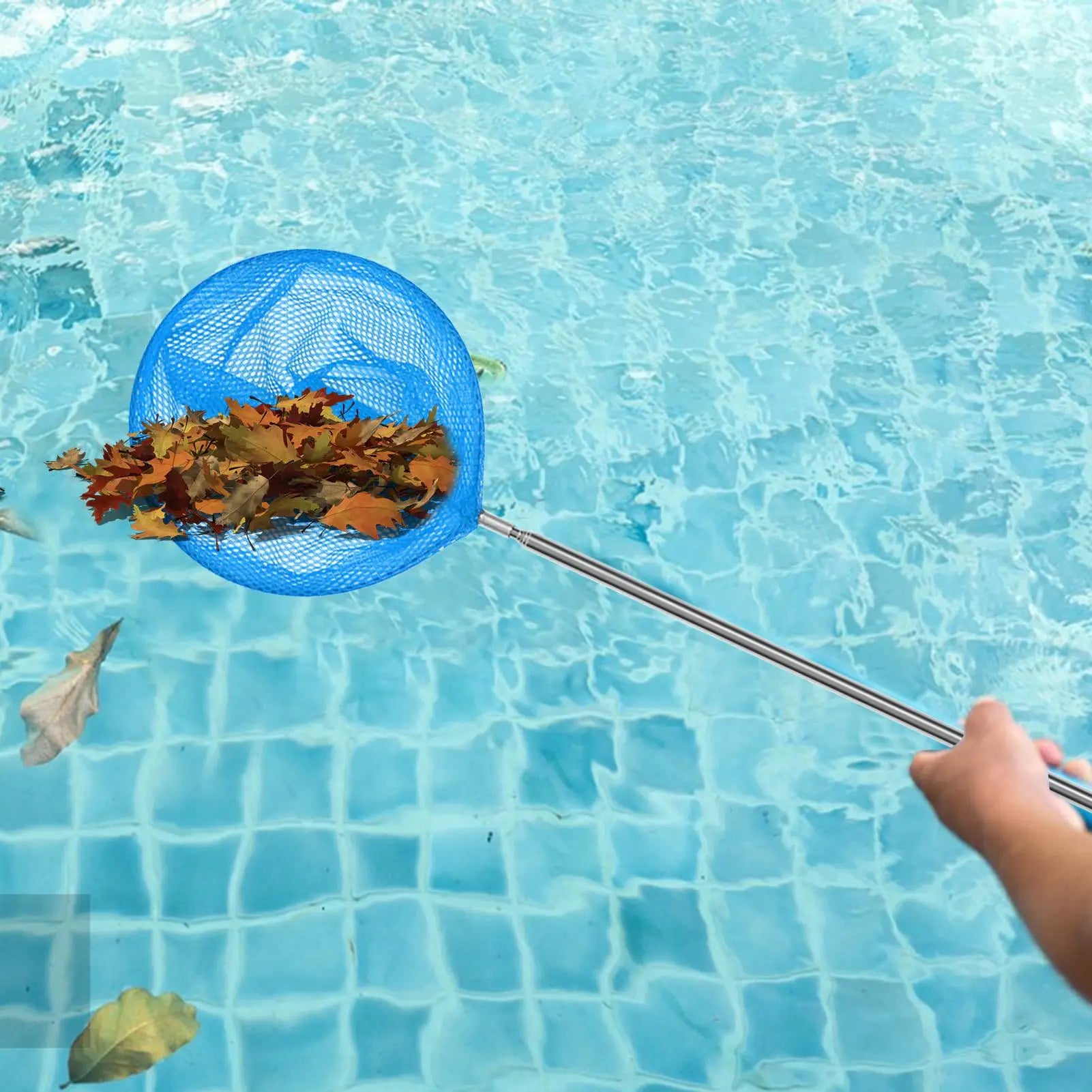 Kids Fishing Net Stainless Steel Telescopic Anti Slip Small Catcher Frog Catching Net for Beach Aquarium Pool Outdoor Games Oasis Select