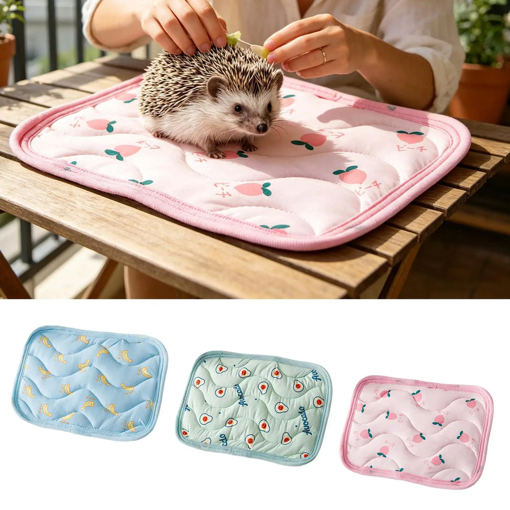 Summer Pet Cooling Mat Sleeping Bed Pet Cooling Blanket Portable Pet Cooling Mat Ice Cushion For Small Animals Pet supplies Oasis Select
