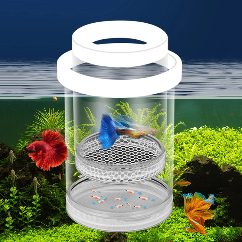 Floating Fish Breeding Isolation Box | Aquarium Hatchery
