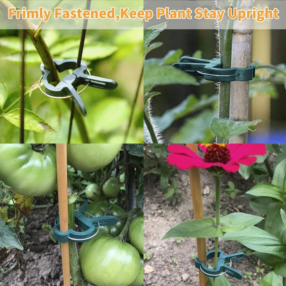 Bundle Plastic Branch Clamping Stakes Connector Vine Support Planting Support Clips Garden Tool Farm Supplies Plant Fixed Clamp Oasis Select