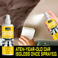 Professional Car Interior Spray , Gentle And Neutral Care Seat And Ceiling Covering, Four Seasons General Interior Renovation Oasis Select 100ml with sponge 100ml