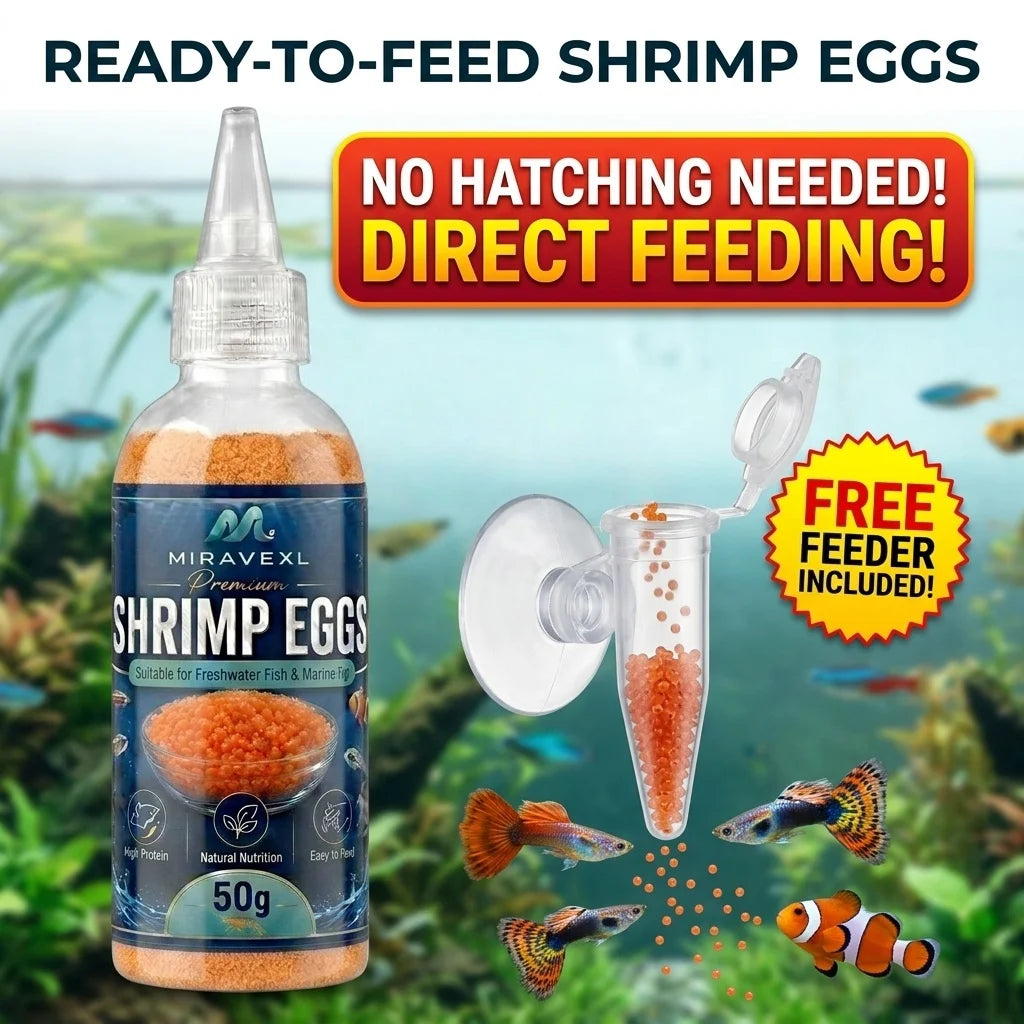 Aquarium Brine Shrimp Eggs Fish Food & Feeder Set Baby Fish Fry Feeding Dispenser Kit Fish Tank Accessories Artemia Cysts Helper Oasis Select