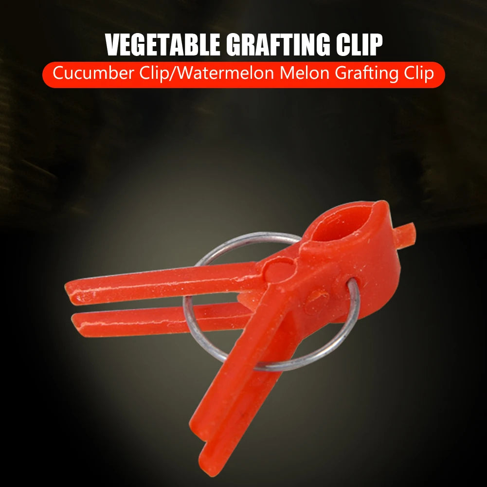 50 Pcs Plant Grafting Clip Plastic Gardening Tool Vegetable Fixed Garden Tools Anti-fall Clamp for Vegetables Tomato Watermelon Oasis Select