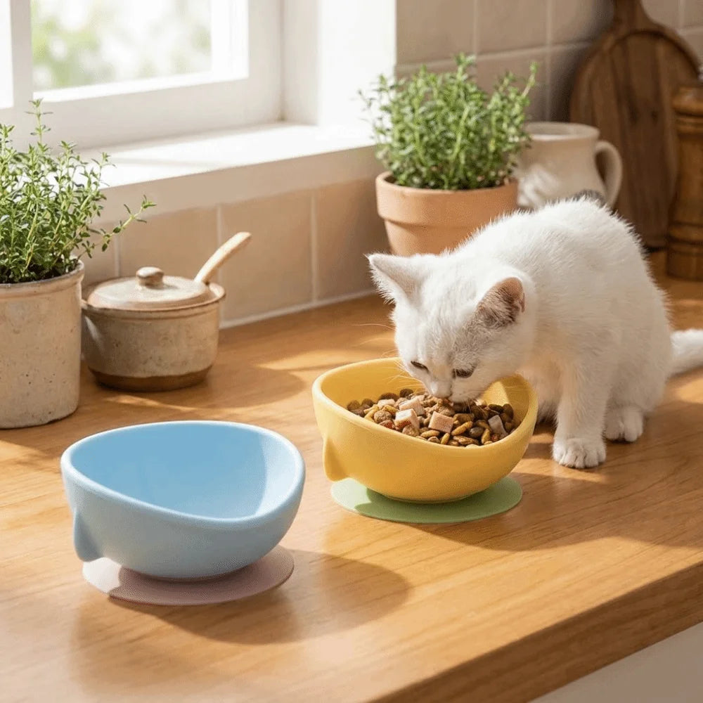 Silicone Suction Cup Pet Bowl – Anti-Spill Slow Feeder