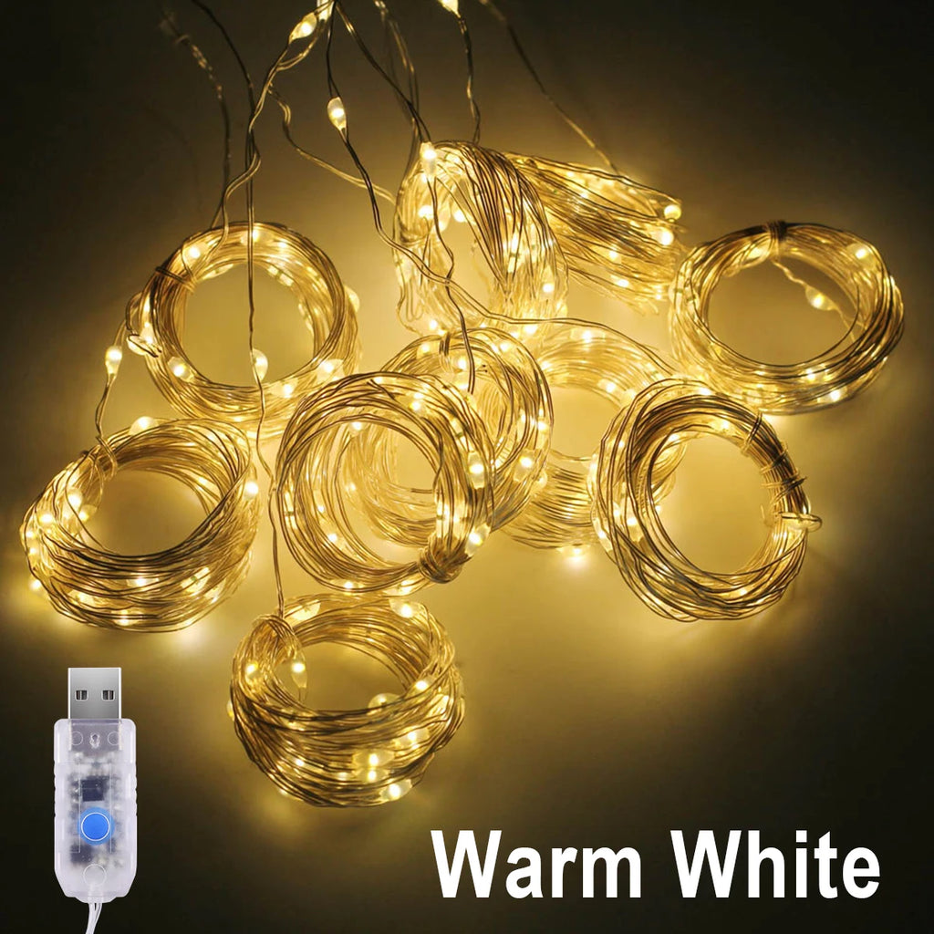 3M LED Curtain Lights with USB Remote Control Fairy Garland Lamp for Wedding Birthday New Year Party Decor Holiday Gift Oasis Select