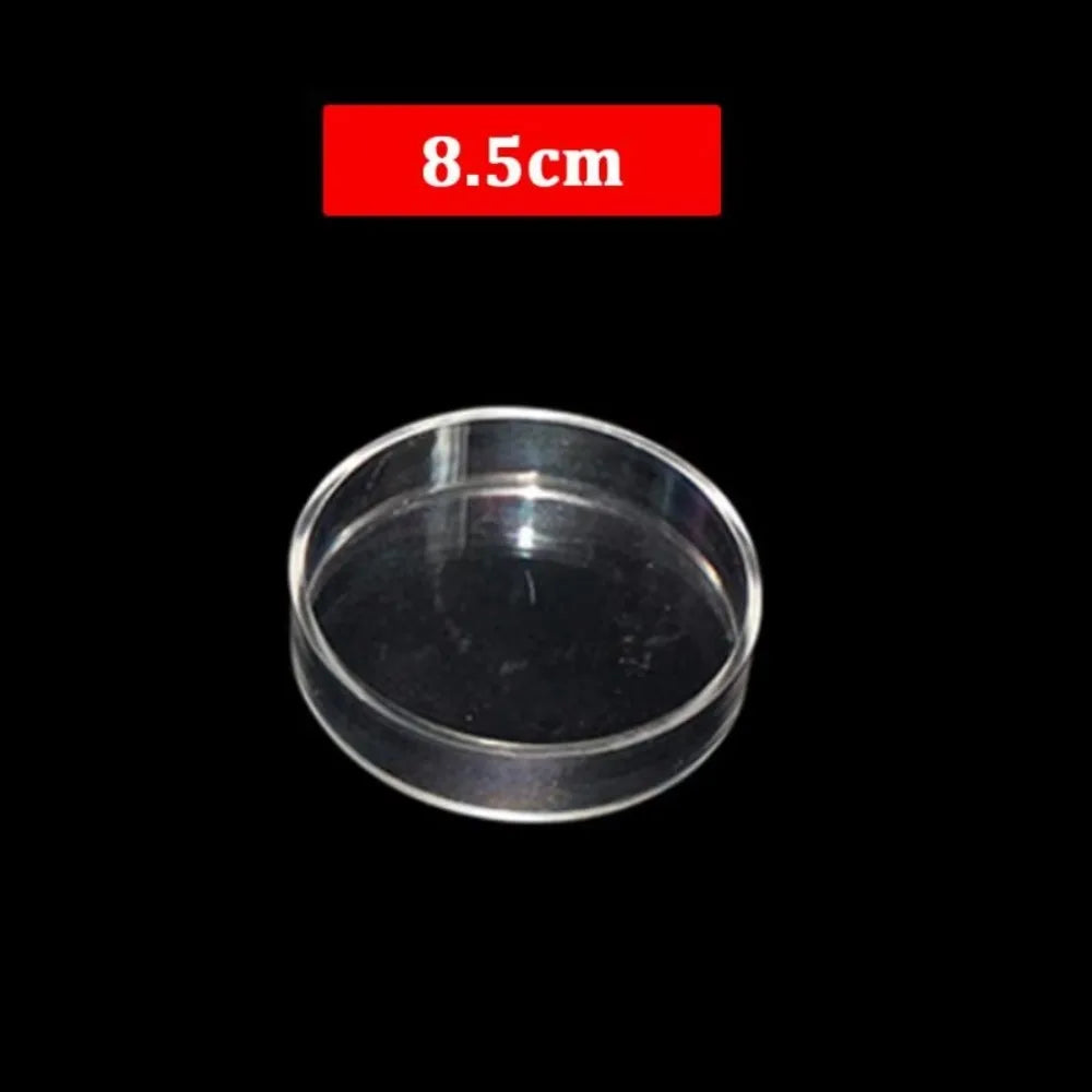 Acrylic Aquarium Feeder Transparent with Suction Cup Aerial Feeding Bowl Universal Fish Shrimp Feeding Dish Oasis Select B