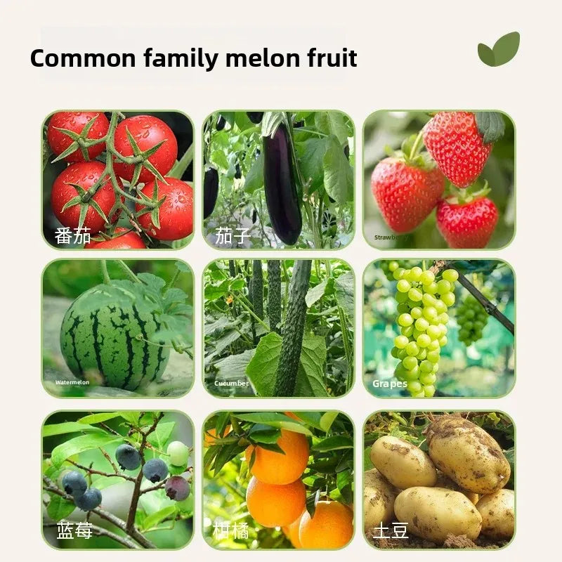 500G special organic fertilizer for fruits and vegetables general-purpose slow-release fertilizer for household vegetable growin Oasis Select