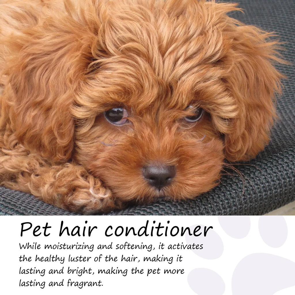 YEGBONG Pet Hair Conditioner – Anti-Knot & Odor Removal 50ml Pet Hair Conditioner Oasis Select