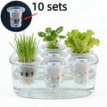 10pcs Hydroponic Seedling Basket Set (Includes 10 Planting Baskets + 10 Seedling Sponges)|Seed Stabilization to Prevent Drifting Oasis Select 10 sets
