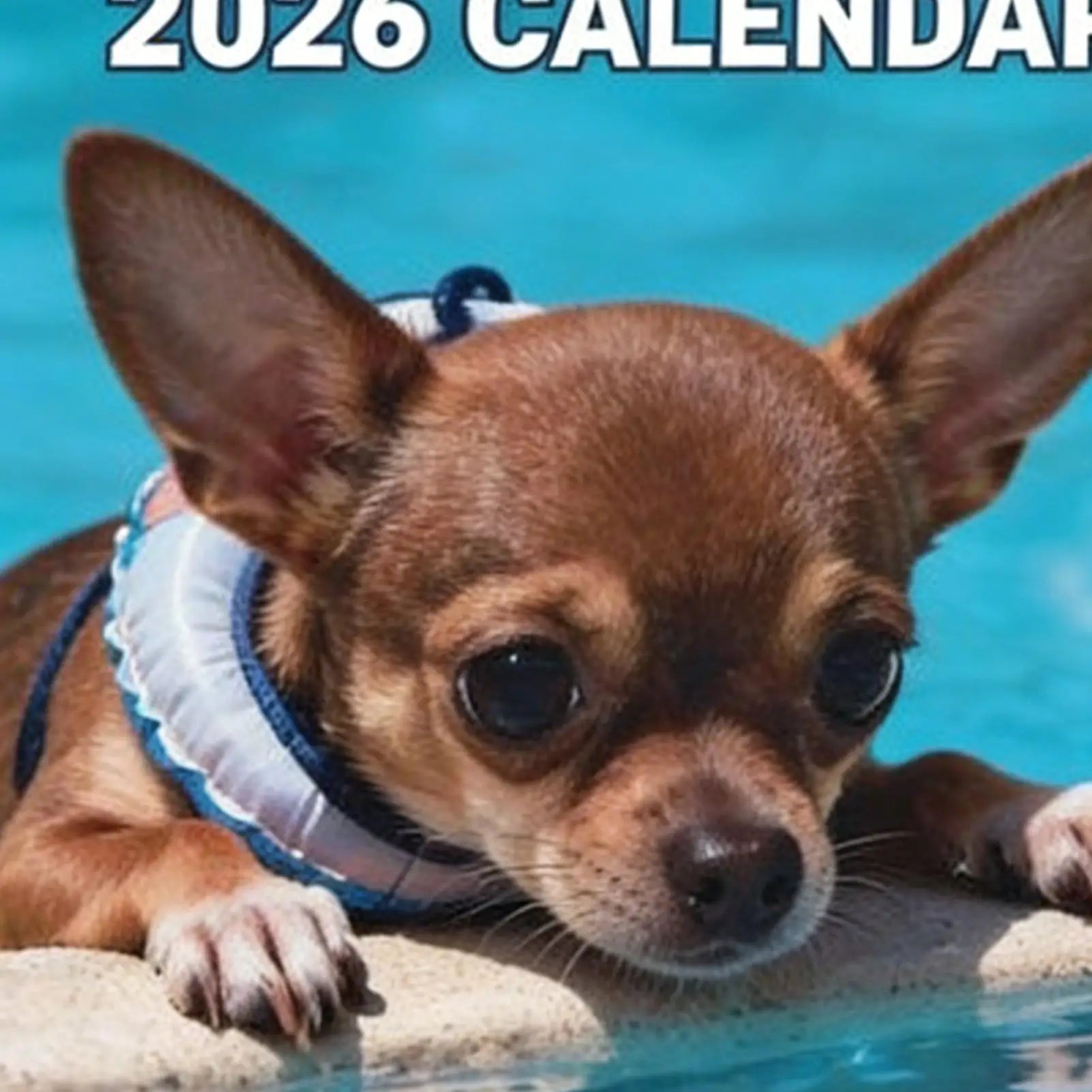 2026 Animal Wall Calendar Dog-Themed January To December Family Planner 2026 Wall Planner for Home Bedroom School Work Apartment Oasis Select