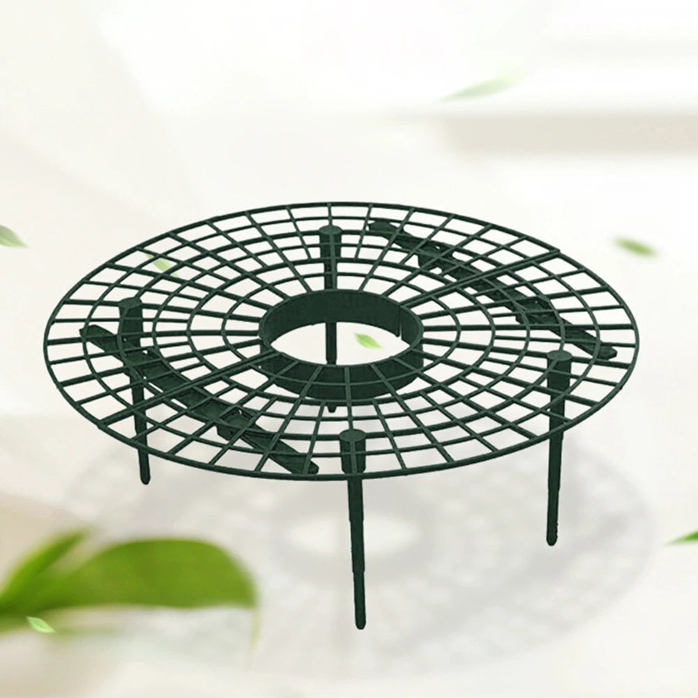 Strawberry Supports Keeping Plant Fruit Stand Vegetable Growing Rack Garden Tools for Protecting Vines Avoid Ground Gardening Oasis Select