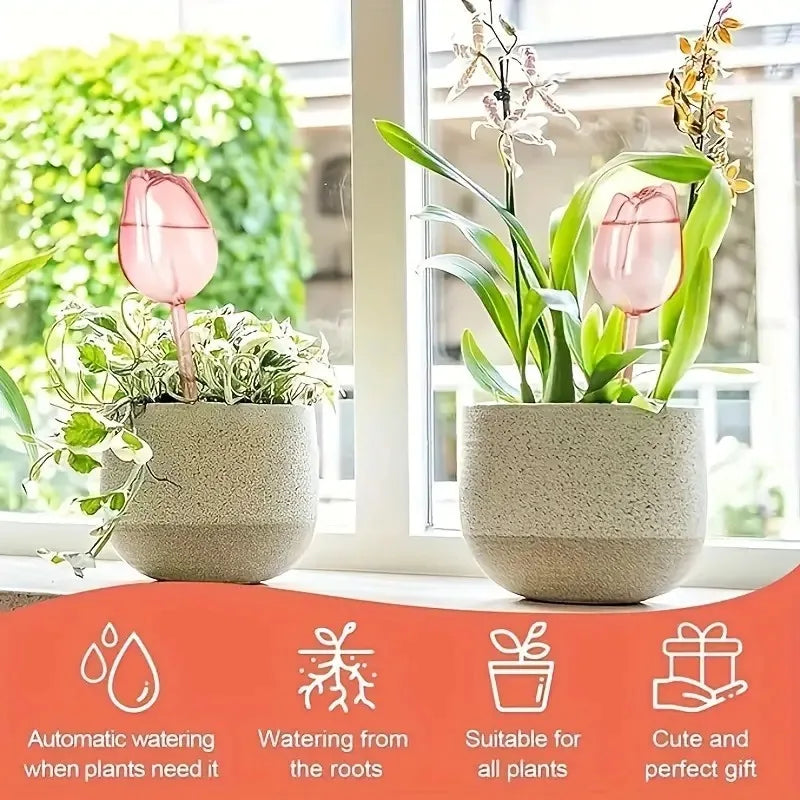 Pink tulip plant watering balls, suitable for indoor and outdoor plants, automatic plant drippers, and automatic watering Oasis Select