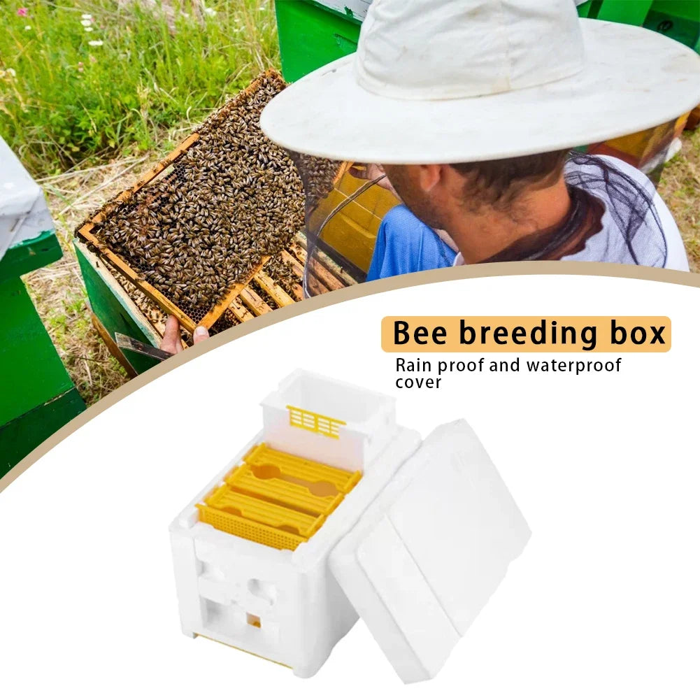 Foam Beehive Mating & Pollination Box – Beekeeping Starter Kit Beehive Mating Box Oasis Select
