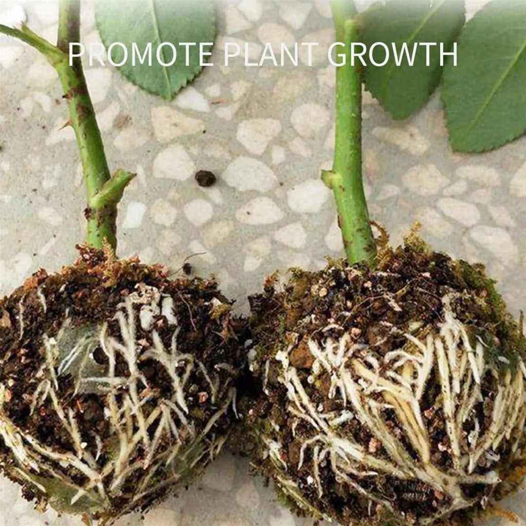 Plant Rooting Ball Grafting Rooting Box Breeding Case High Pressure Plant Root Growing Box For Garden Planting Supplies Oasis Select