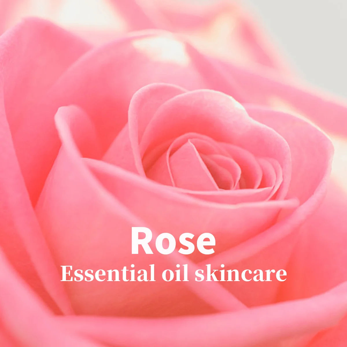 Rose Essential Oil Skincare and Cleansing Mousse, Deeply Cleanses, Controls Oil, Nourishes the Skin, Refreshing, Gentle Not Tightening Oasis Select