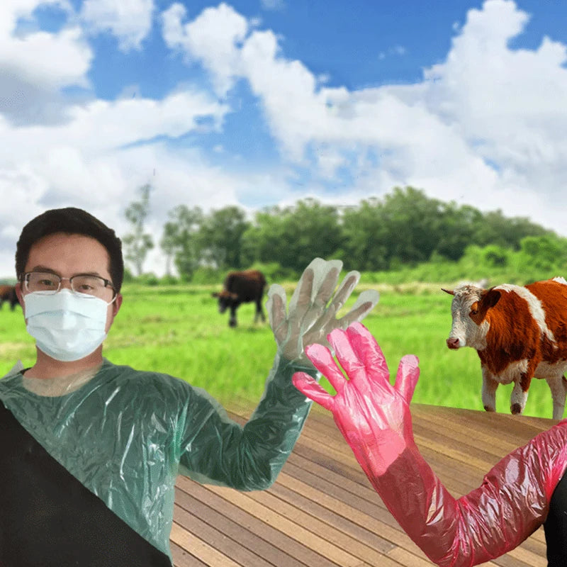 50pcs Disposable Long-Arm Veterinary Gloves | Livestock Care
