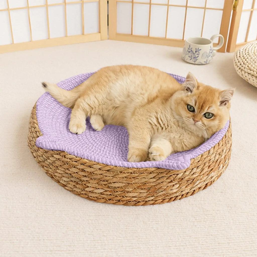 Round Cat Scratcher Breathable Pad Kitten Ear Design Cotton Rope Woven Cat Bed for Play Exercise Enrichment Paws Care Activity Oasis Select