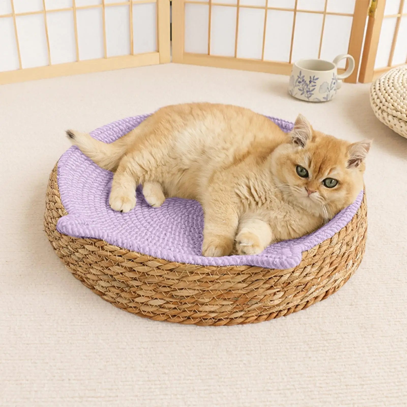 Round Cat Scratcher Breathable Pad Kitten Ear Design Cotton Rope Woven Cat Bed for Play Exercise Enrichment Paws Care Activity Oasis Select