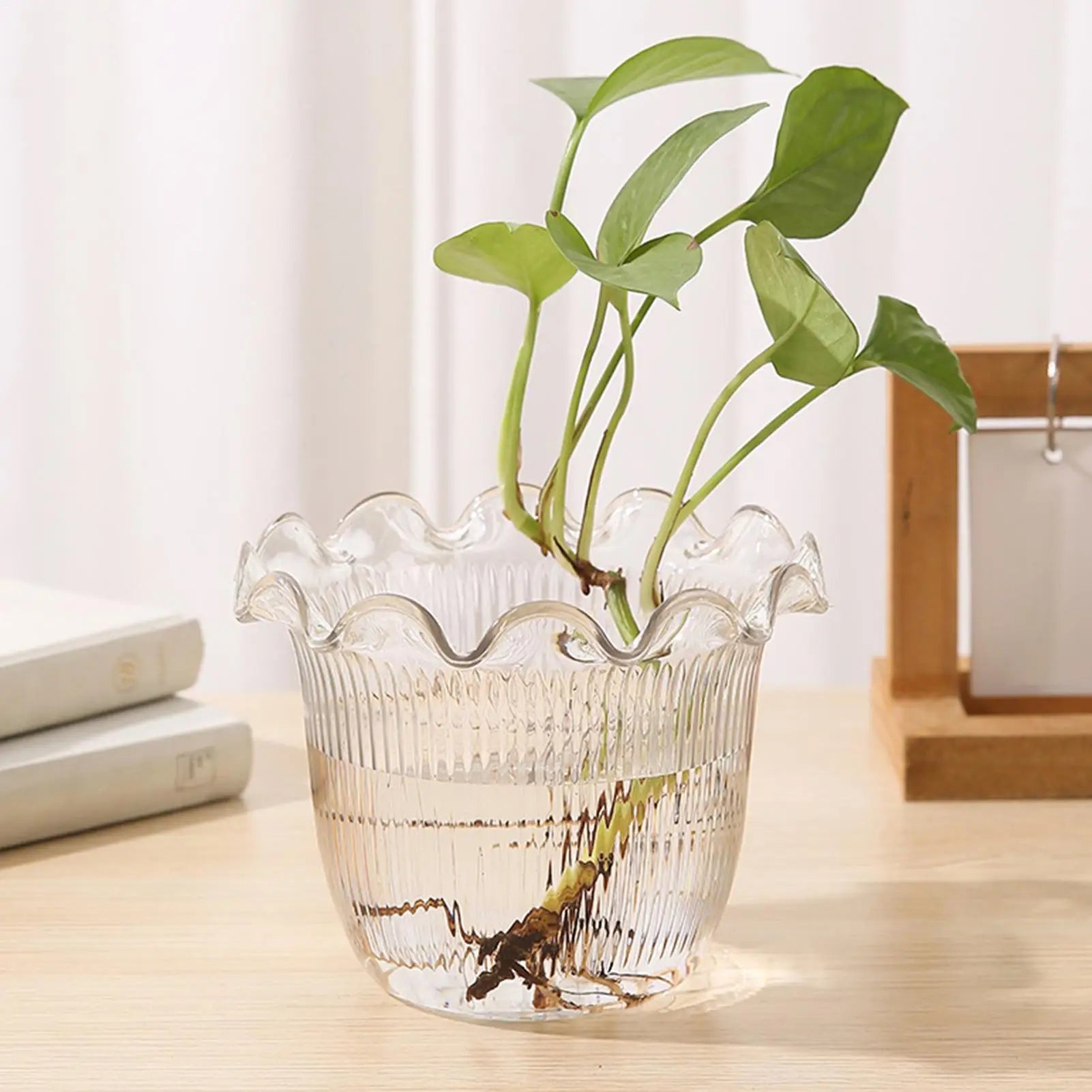Decorative Vases for Home Decor Water Plant Vase Hydroponic Planter PET Vase transparent Water Plant Vase Hydroponic Planter Oasis Select