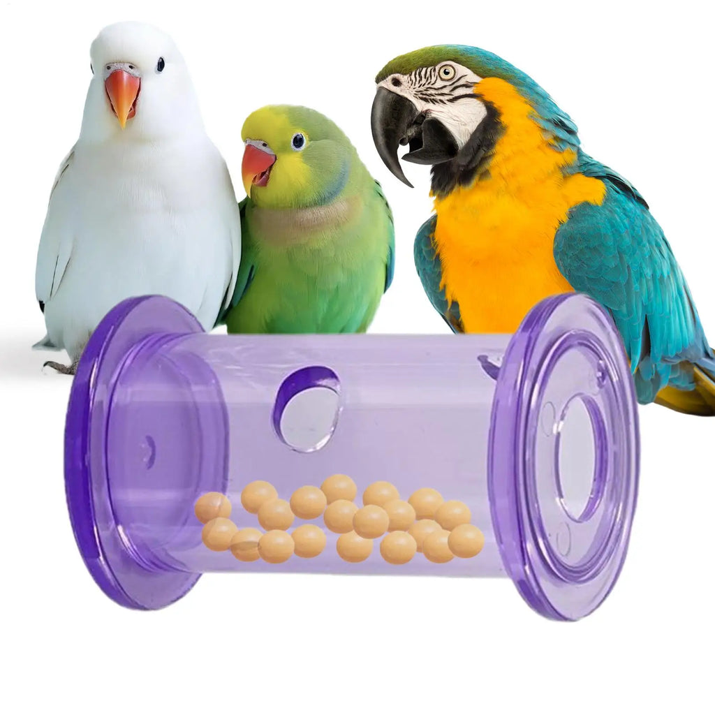 Reptile Feeding Food Bowl Slow Feeder Rolling Cylinder Clear Bearded Dragon Parakeet Foraging Toys for Bird Gecko Lizard Parrot Oasis Select